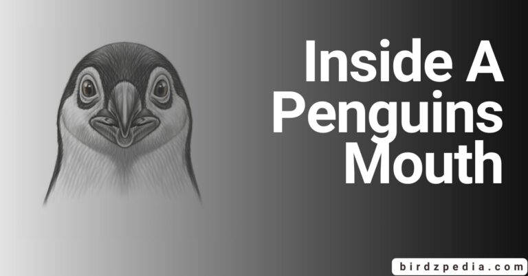 PENGUIN MOUTH: Journey into the Scary Depths