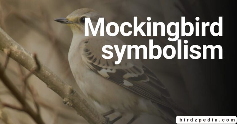MOCKINGBIRD SYMBOLISM: Dream Meaning, Totem and more