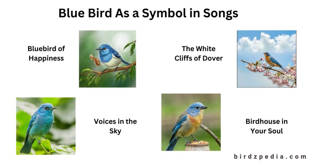 Blue bird names birdzpedia.com