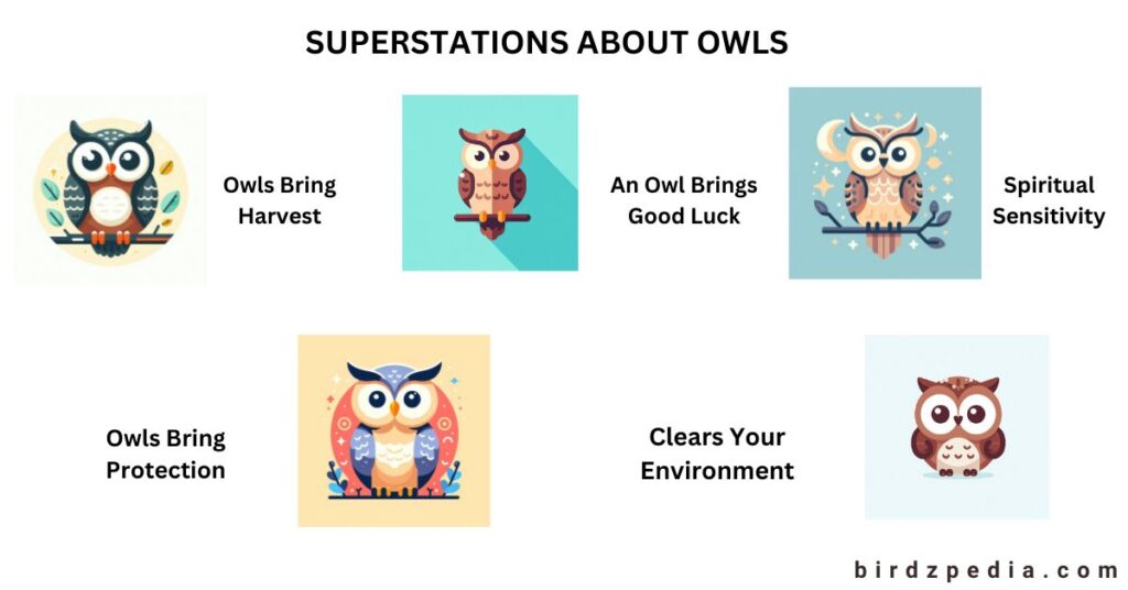 Are Owls Symbol of Good Luck birdzpedia.com