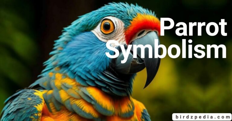 PARROT SYMBOLISM: Insights and Interpretations