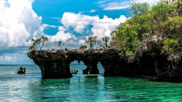 Embark on an Unforgettable Adventure: Zanzibar Island Safari Tours with Reality Tours