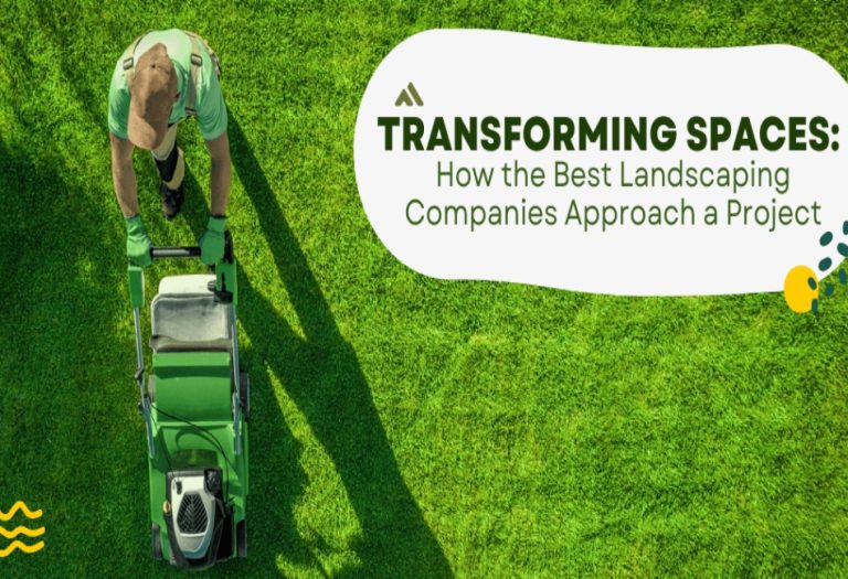 Transforming Spaces: How the Best Landscaping Companies Approach a Project