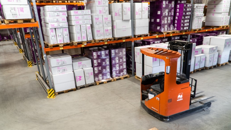 Comparison of Automated vs. Manual Storage Systems