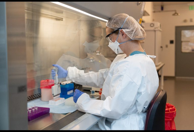 Enhancing Veterinary Labs with Software