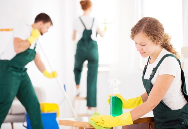 The Ultimate Guide to Transformative Professional House Cleaning Services