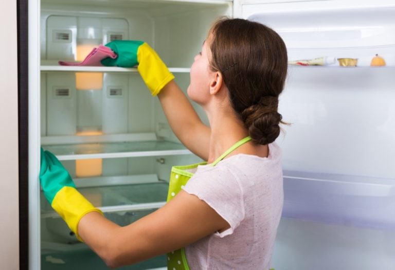 Maintenance Matters: How to Care for Your Kitchen Appliances