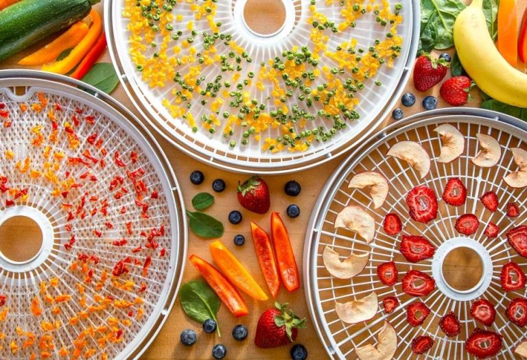 Dried Ingredients and Dehydrated Foods: A Comprehensive Guide to Preservation, Uses, and Benefits