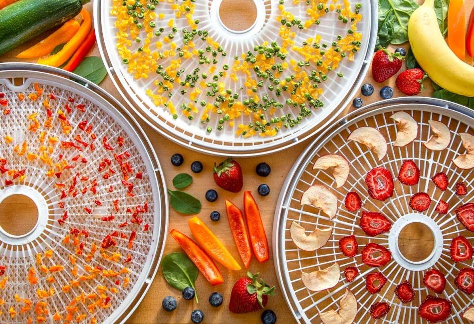 Dehydrated Foods