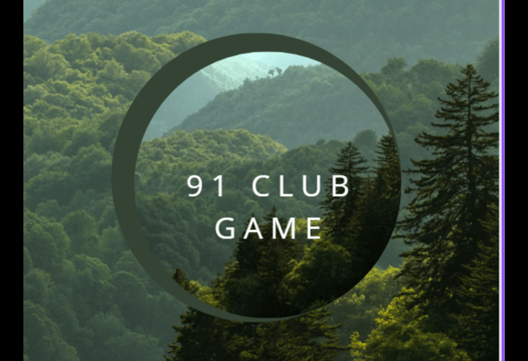 Exploring the 91 Game: A Unique Experience