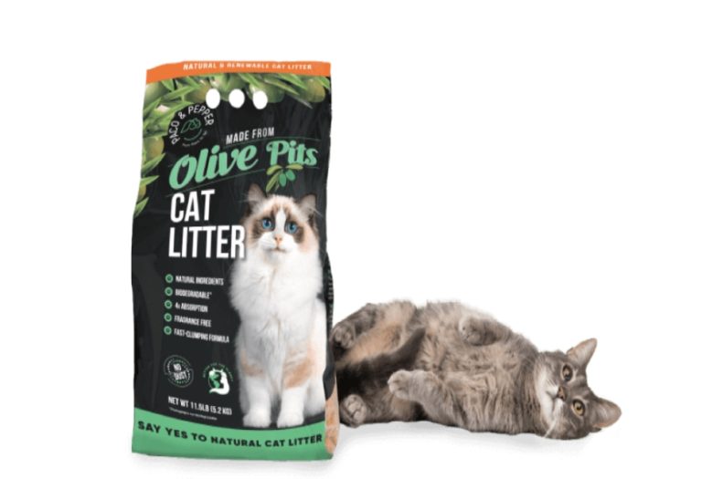 Paco and Pepper: The Safest Litter for Cats with Allergies