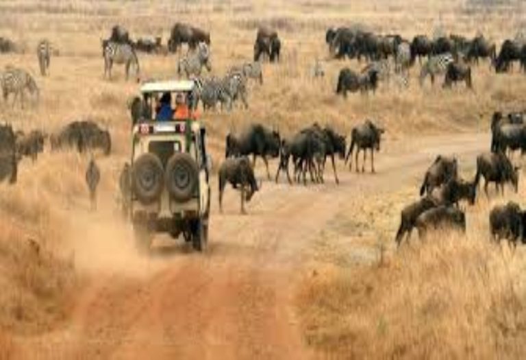 The Ultimate Guide to Explore Tanzania for Fun-filled Activities