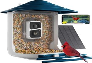 Bird Feeder Cameras