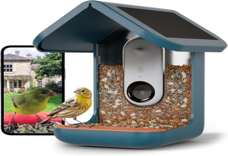 Bird Feeder Cameras: Bringing Nature Closer to Home