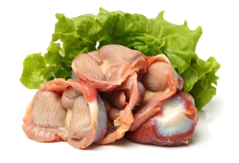 The Gizzard: A Hidden Culinary Gem