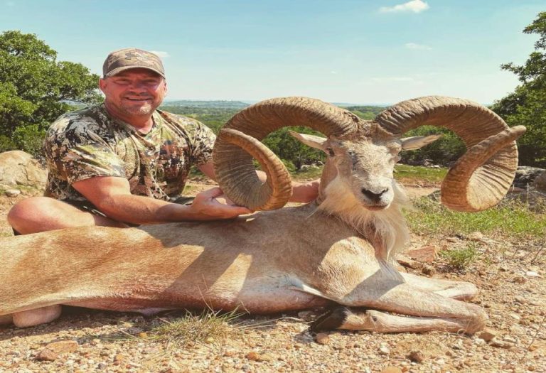 Discover the Best Exotic Hunts in Texas