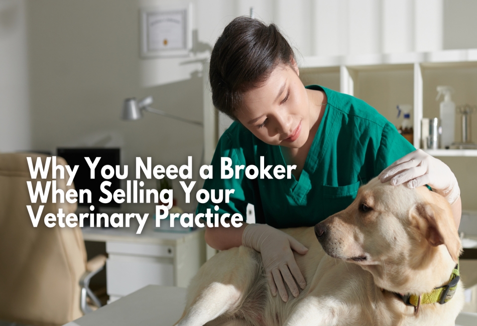 Veterinary Practice