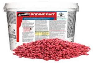 Rat Poison