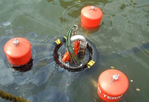 Skimmers