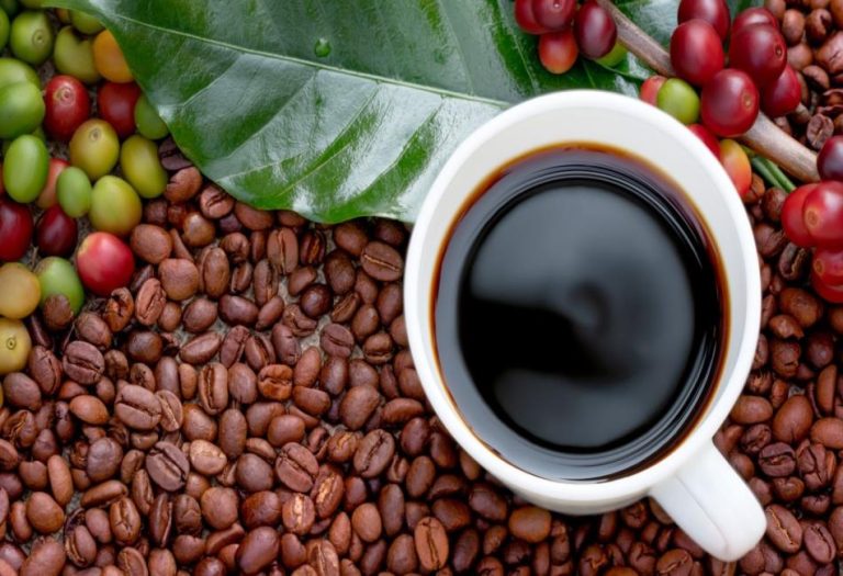 A Beginner’s Guide to Colombian Coffee: What to Know Before You Sip