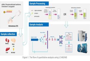 Oligo Quantification