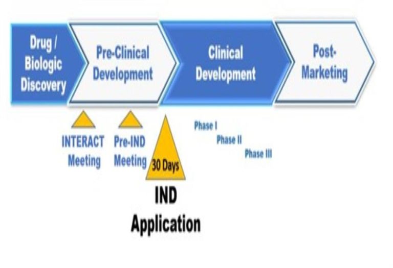 How to Navigate the IND and NDA Application Process