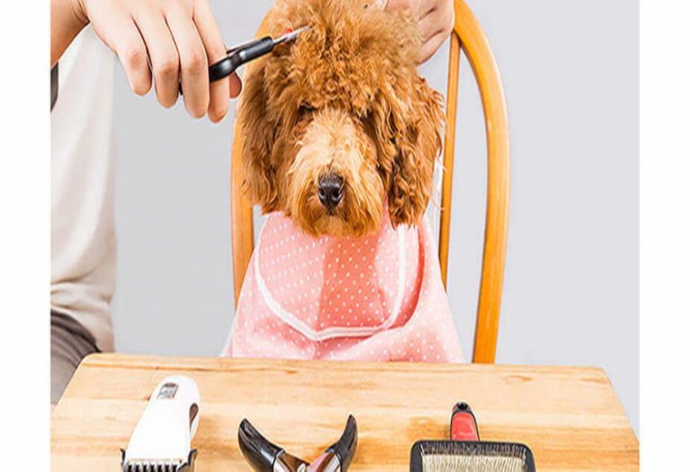 Wholesale Dog Grooming Supplies Professional Guide