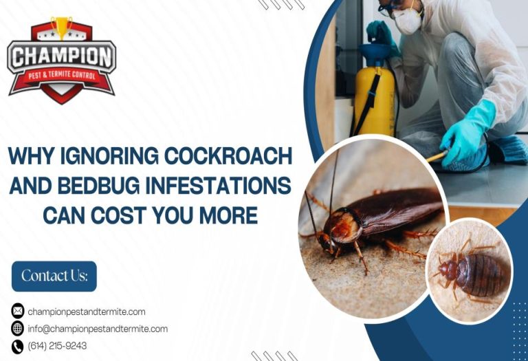 Why Ignoring Cockroach and Bedbug Infestations Can Cost You More