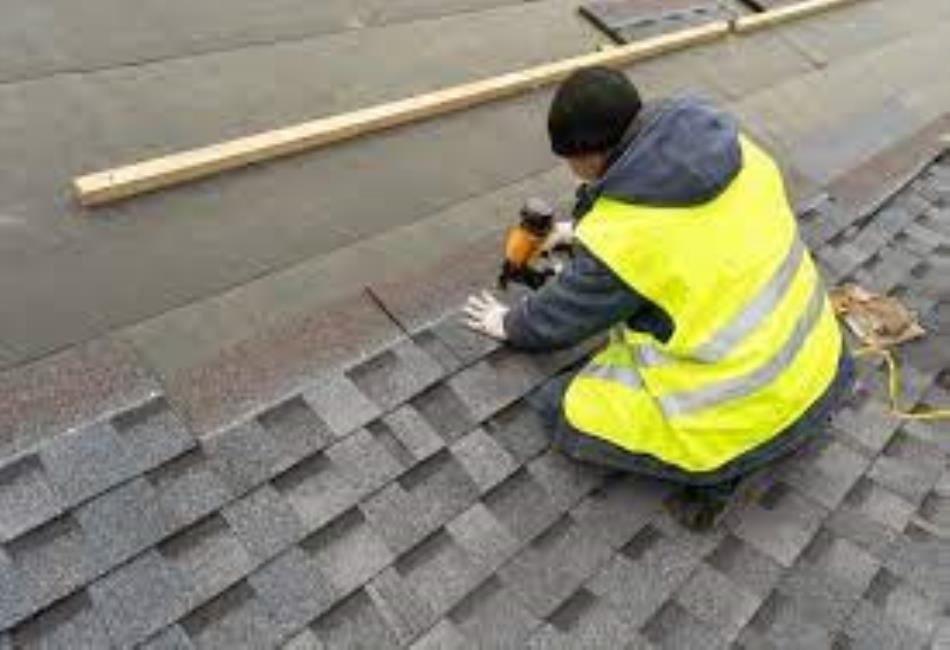 Asphalt Shingle Roof