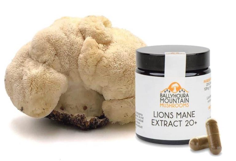 The Benefits of Lion’s Mane Mushrooms and Why Capsules Are the Best Way to Consume Them