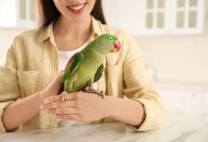 Parrots
