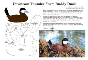Ruddy Duck