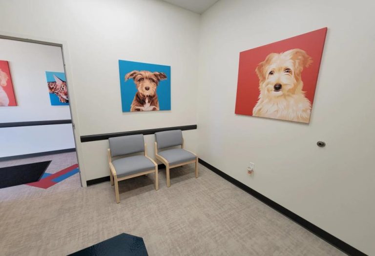 Emergency Pet Care Made Easy with UrgentVet After-Hours Services