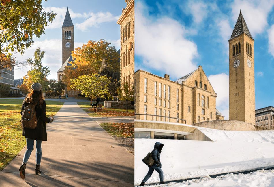 Cornell Zoom