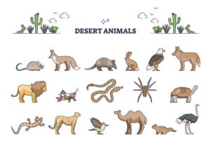 Desert Animals