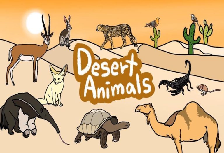 Survival in the Sands: A Comprehensive Guide to Desert Animals