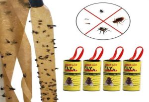 Fly Catchers