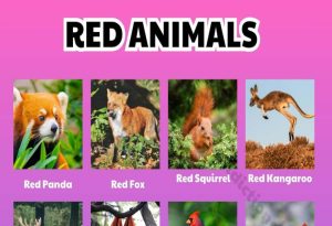 Red Animals
