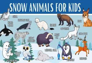 Snow Animals