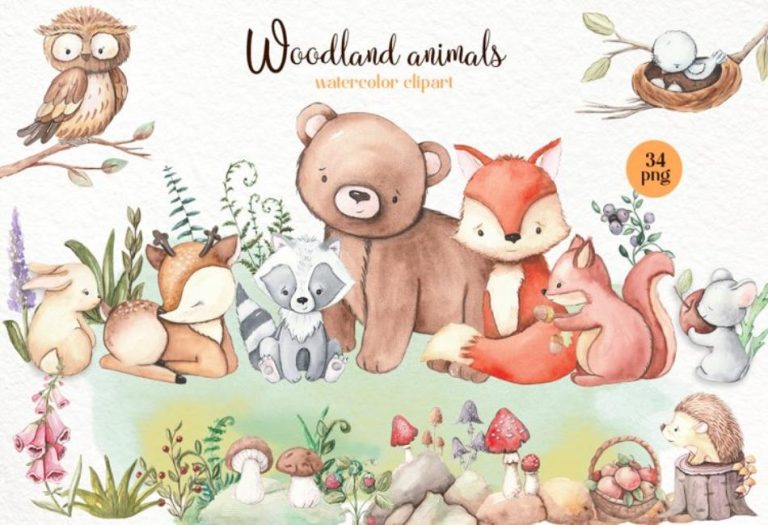 Woodland Animals: A Fascinating Look at the Wildlife of Forest Ecosystems