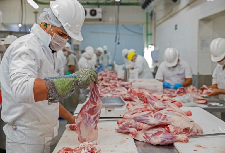 Navigating Meat Processing Regulations in Australia
