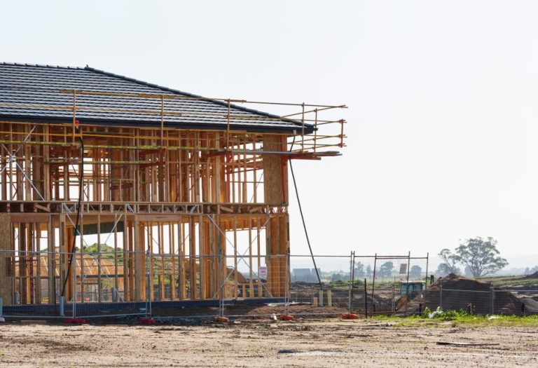 Why Selecting the Right Timber Can Elevate Your Next Build