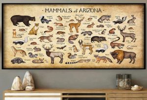 Arizona Animals