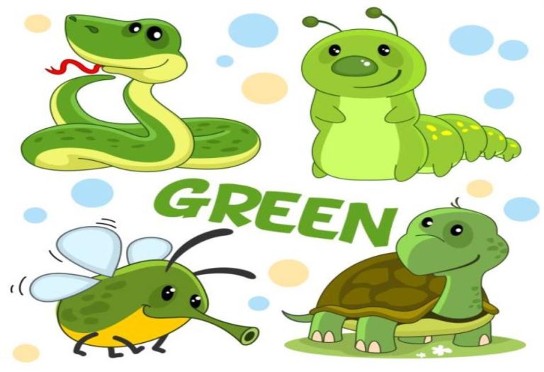 Nature’s Emerald Wonders: Exploring the Fascinating World of Green Animals