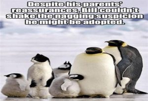 Penguin Meme