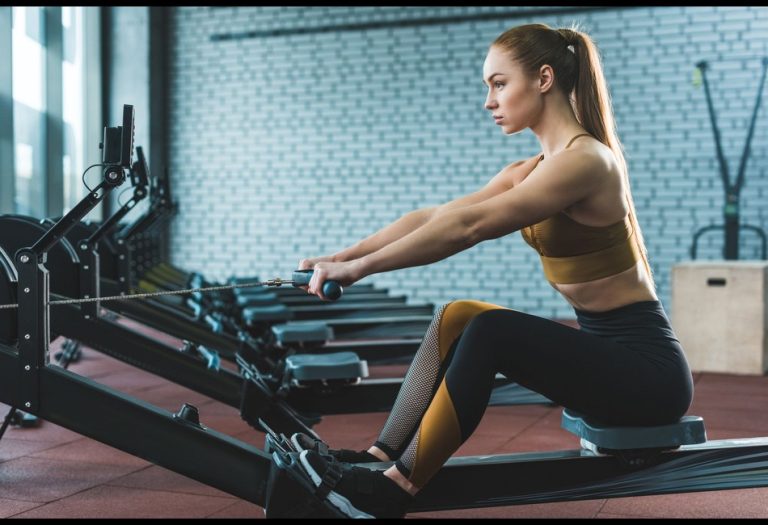 Back Workout Equipment for Full-Body Strength and Posture