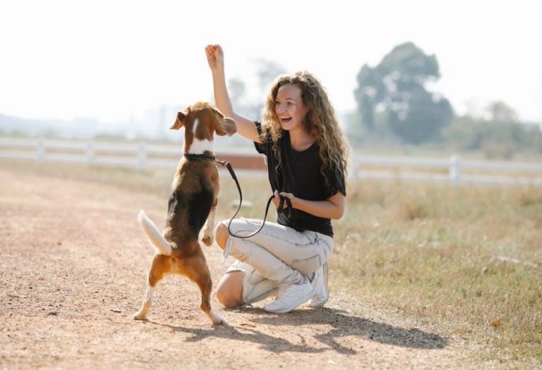 Essential Lifestyle Changes for New Dog Owners