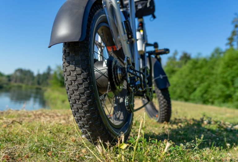 Experience the Boost of a 1000W Fat Tire Electric Bike