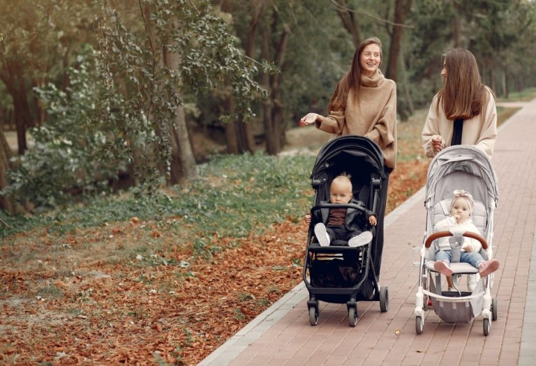 Travel Strollers: Lightweight and Compact Options for Easy Travelling with Babies