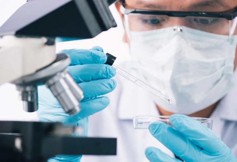 Why Pharmacokinetics Services Are Critical for Drug Development Success